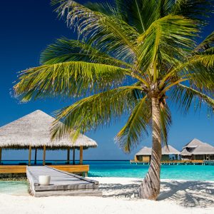 husen-siraaj-UxZVUDxWppw-unsplash